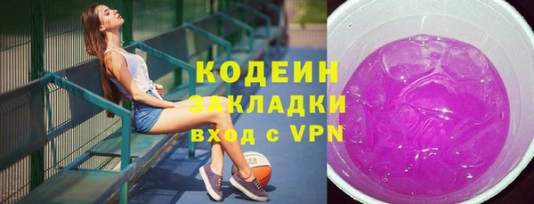 индика Богородск